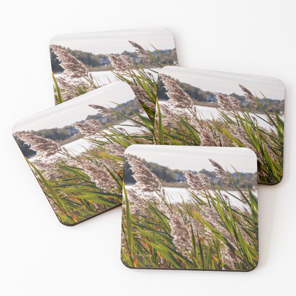 Item preview, Coasters (Set of 4) designed and sold by Ruthie33.