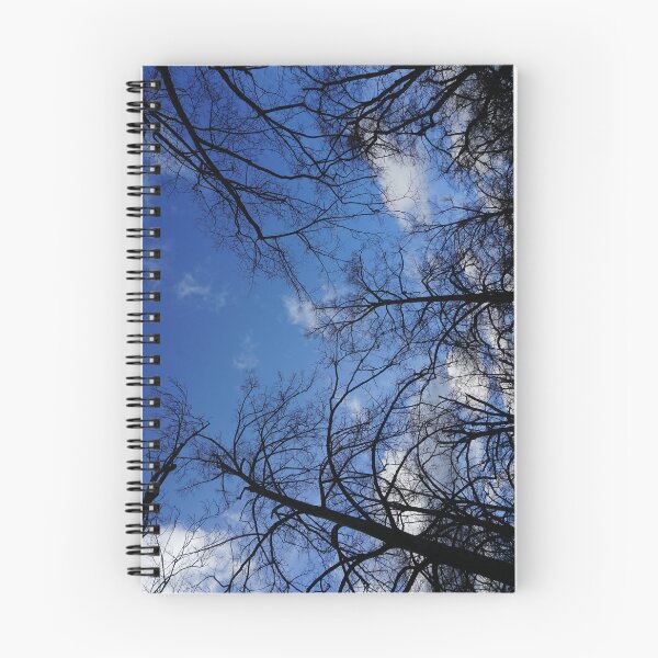 Item preview, Observing blue sky under the trees in Lindenhof Zürich designed and sold by TravelWithApril.
