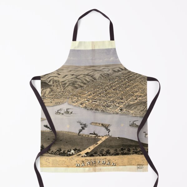 Item preview, Hannibal, Missouri (1869) designed and sold by allhistory.