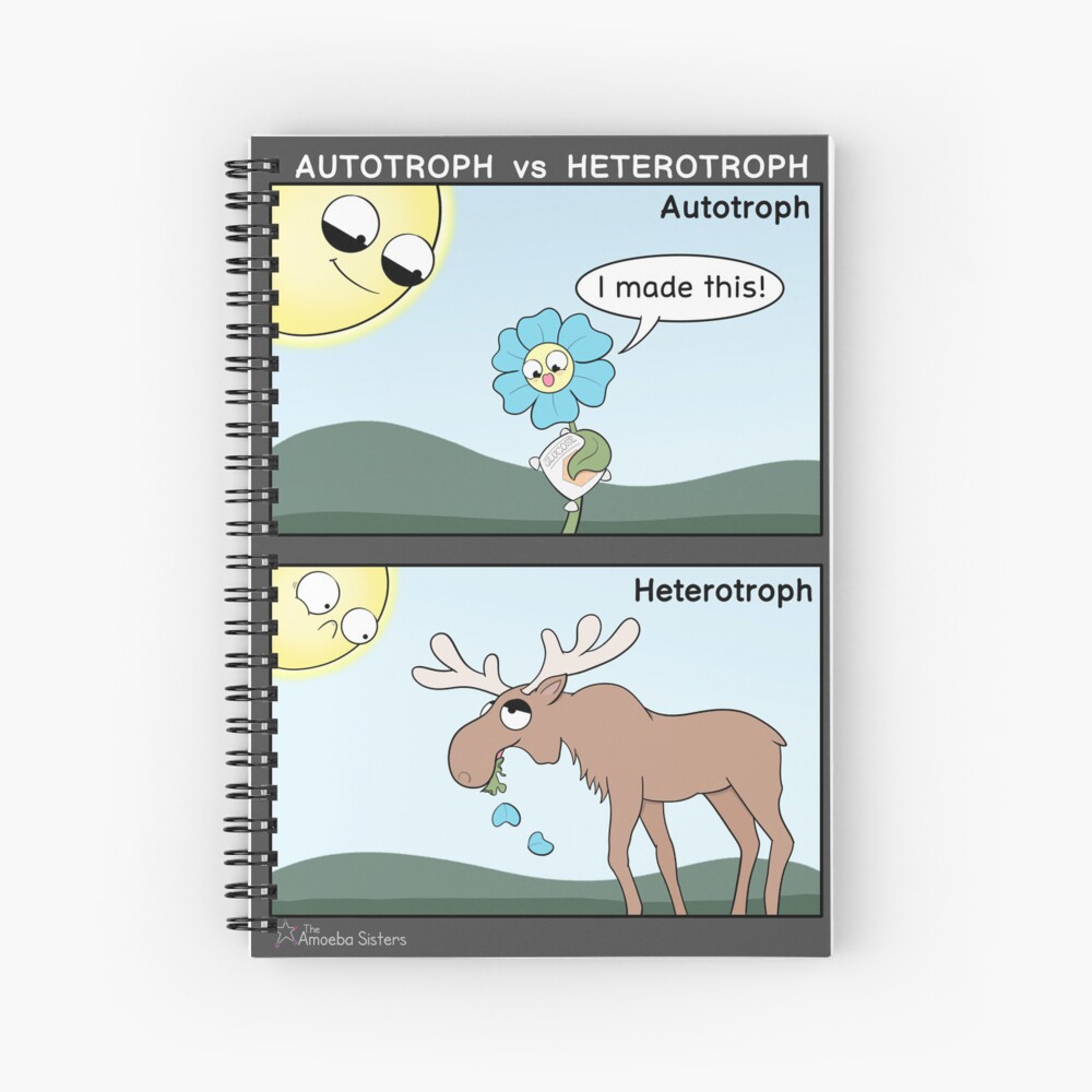 Item preview, Spiral Notebook designed and sold by amoebasisters.