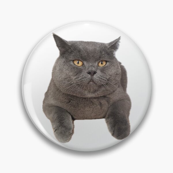 Item preview, The Ultimate Cat Frat designed and sold by KaraTeProject.