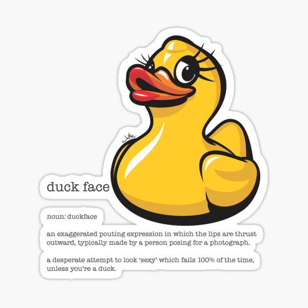 Duck Selfie Stickers Redbubble - roblox duck face