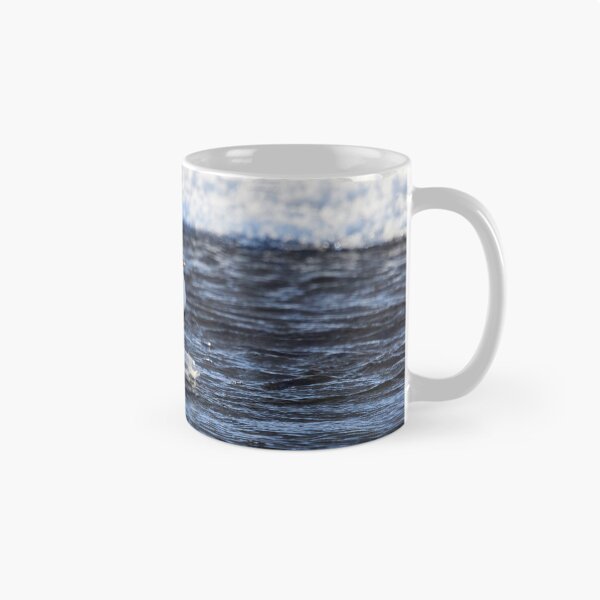 Item preview, Cool dip waiting. White-throated dipper designed and sold by Jouko Lehto Photography.