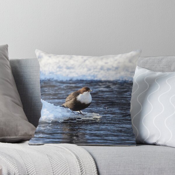 Item preview, Cool dip waiting. White-throated dipper designed and sold by Jouko Lehto Photography.