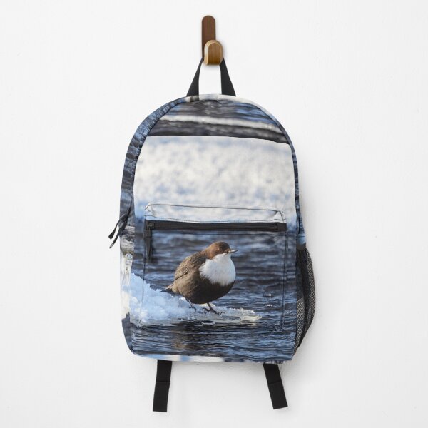 Item preview, Cool dip waiting. White-throated dipper designed and sold by Jouko Lehto Photography.
