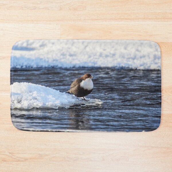 Item preview, Cool dip waiting. White-throated dipper designed and sold by Jouko Lehto Photography.