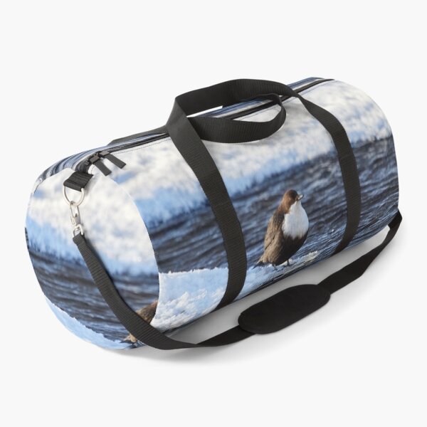 Item preview, Cool dip waiting. White-throated dipper designed and sold by Jouko Lehto Photography.