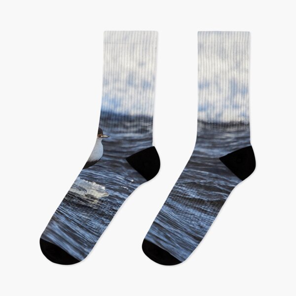Item preview, Cool dip waiting. White-throated dipper designed and sold by Jouko Lehto Photography.