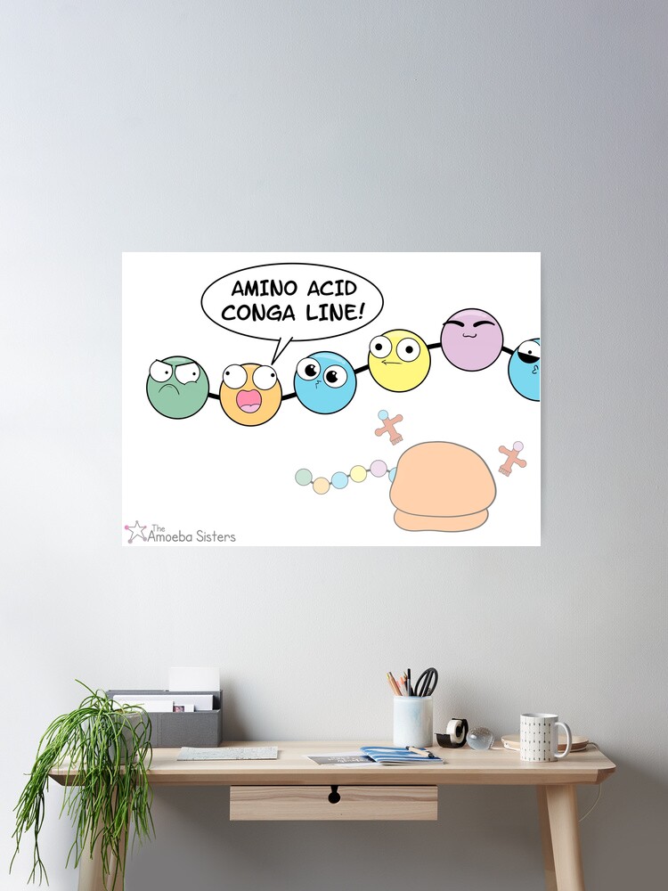 Thumbnail 1 of 3, Poster, Amino Acid Conga Line designed and sold by amoebasisters.