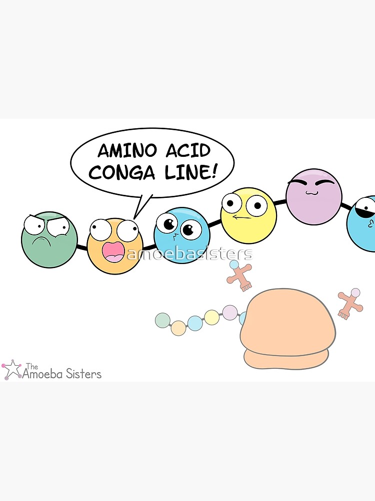 Thumbnail 3 of 3, Poster, Amino Acid Conga Line designed and sold by amoebasisters.