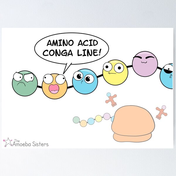 Amino Acid Conga Line Poster