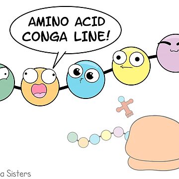 Artwork thumbnail, Amino Acid Conga Line by amoebasisters