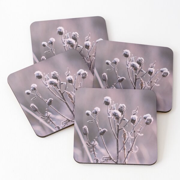 Item preview, Frosted grass in morning light designed and sold by riku05830.