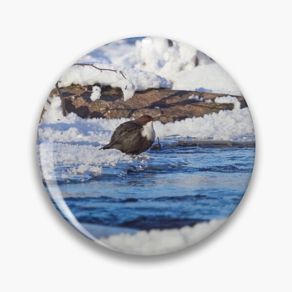 Item preview, Snowscape view. White-throated dippe designed and sold by Jouko Lehto Photography.
