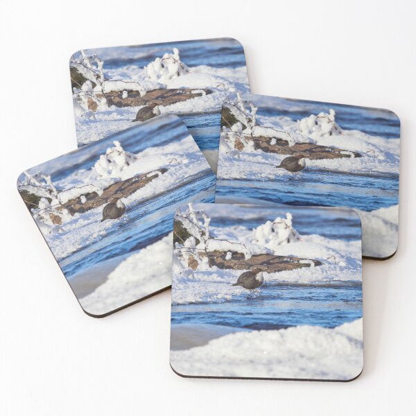 Item preview, Snowscape view. White-throated dippe designed and sold by Jouko Lehto Photography.