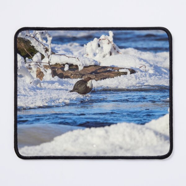 Item preview, Snowscape view. White-throated dippe designed and sold by Jouko Lehto Photography.