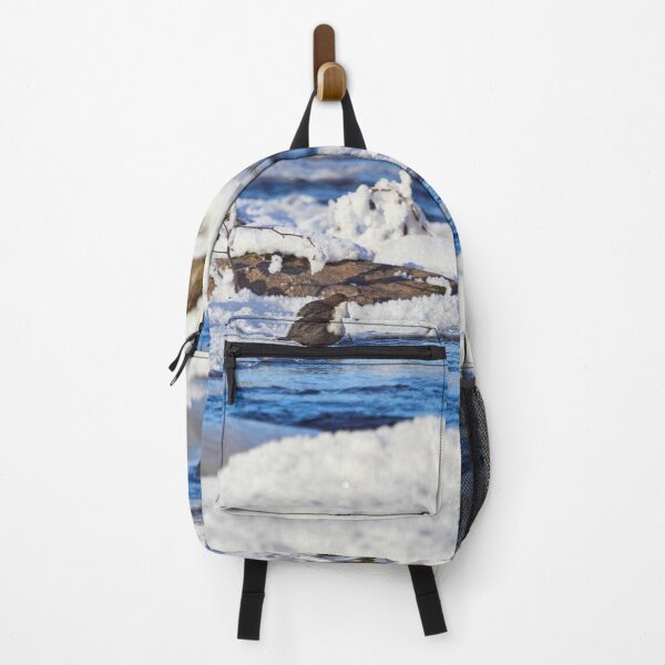Item preview, Snowscape view. White-throated dippe designed and sold by Jouko Lehto Photography.