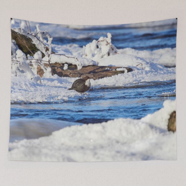 Item preview, Snowscape view. White-throated dippe designed and sold by Jouko Lehto Photography.