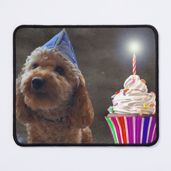 Item preview, Mini Poodle Birthday Party designed and sold by Poodle-Bonita.