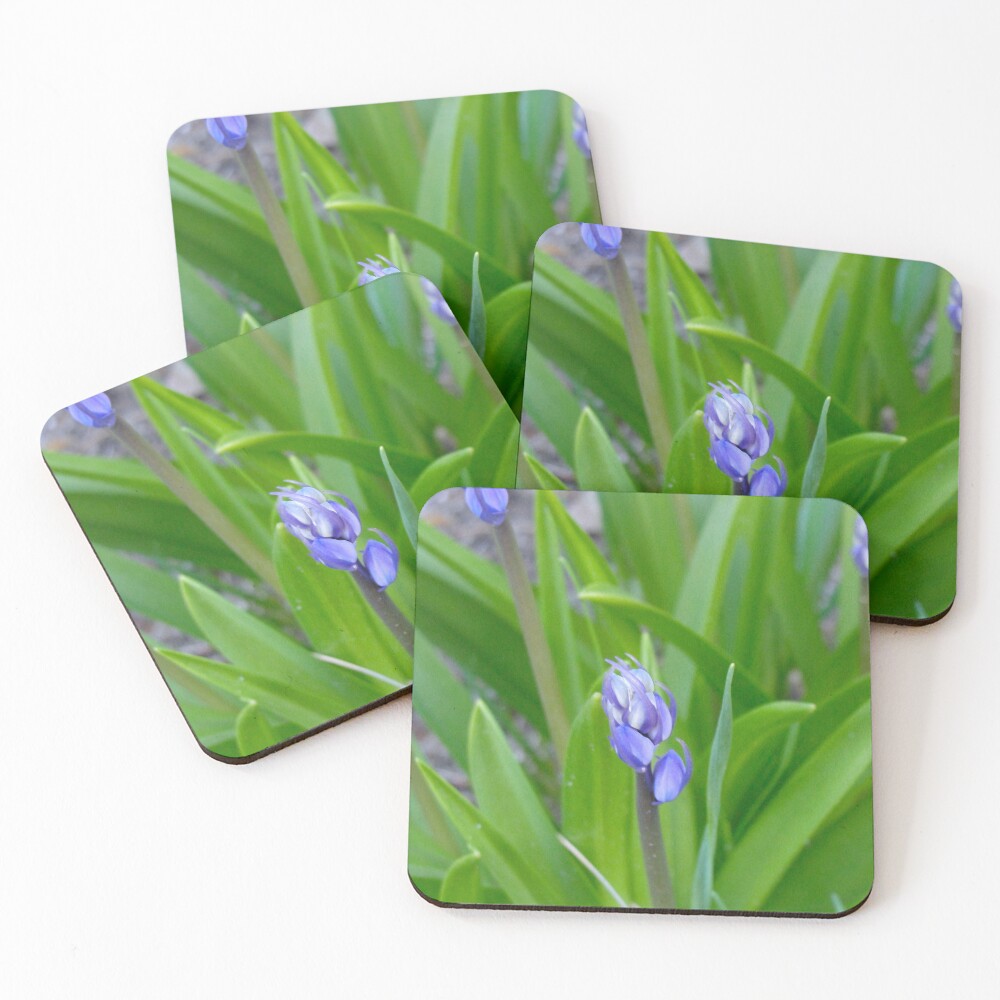 Item preview, Coasters (Set of 4) designed and sold by BuddingTree.