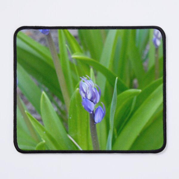 Item preview, Spring Bluebell's designed and sold by BuddingTree.