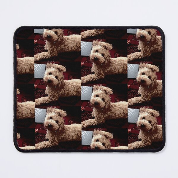 Item preview, Toy Poodle cute look designed and sold by Poodle-Bonita.