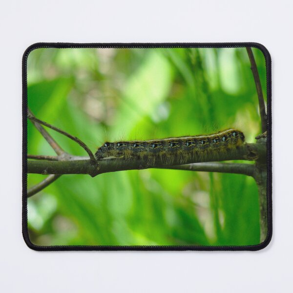 Item preview, Eastern Tent Caterpillar Scaling A Tree  designed and sold by BuddingTree.
