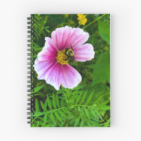 Artikelvorschau, Östliche Zimmermannsbiene sammelt Pollen von der Cosmos Daydreamer-Blume entworfen und verkauft von BuddingTree.