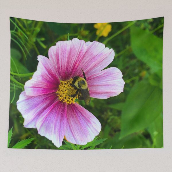Aperçu de l'œuvre Abeille charpentière de l'Est collectant le pollen de la fleur Cosmos Daydreamer créée et vendue par BuddingTree.