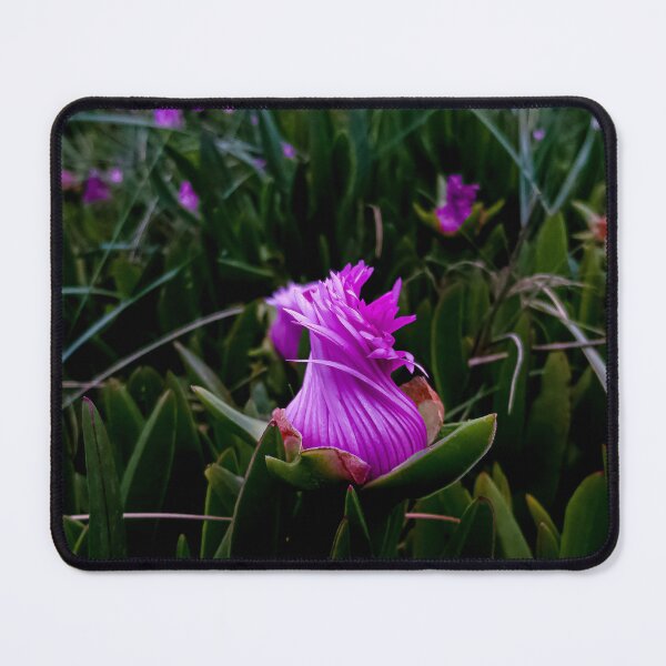 Item preview, Botanical Elegance designed and sold by ngphotoart.