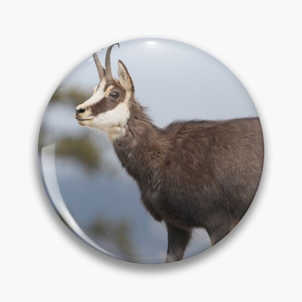 Item preview, Chamois designed and sold by KNBS.