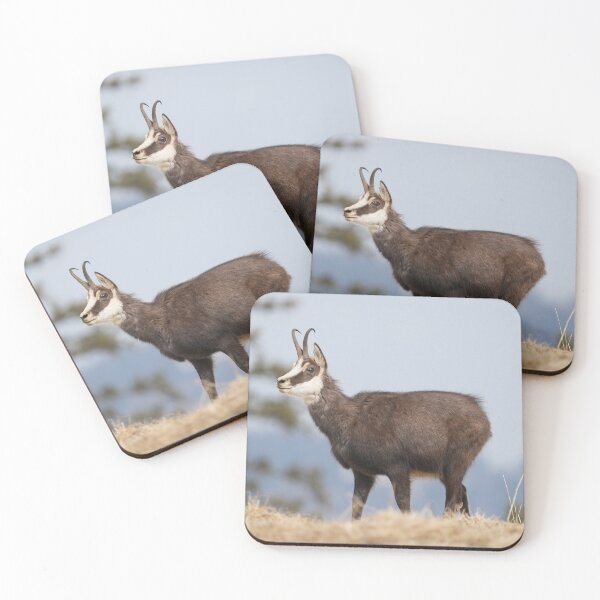 Item preview, Chamois designed and sold by KNBS.