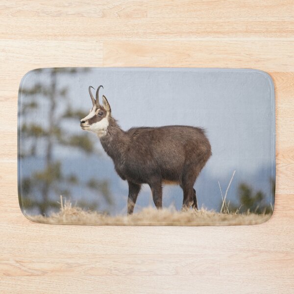 Item preview, Chamois designed and sold by KNBS.