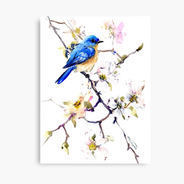 Bluebird and Dogwood Canvas Print