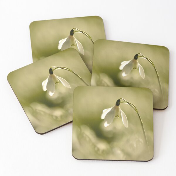 Item preview, Digital photography of an isolated sunlit Snowdrop designed and sold by SimonJohnson1.