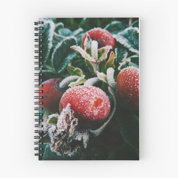 Item preview, Frosted berries at autumn designed and sold by riku05830.