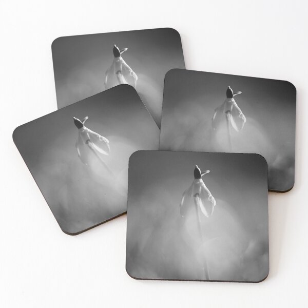 Item preview, Digital photography of an isolated sunlit Snowdrop designed and sold by SimonJohnson1.