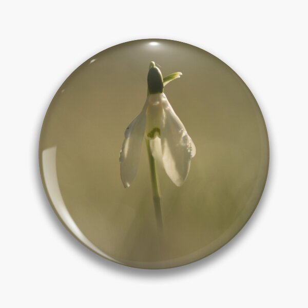 Item preview, Digital photography of an isolated sunlit Snowdrop designed and sold by SimonJohnson1.