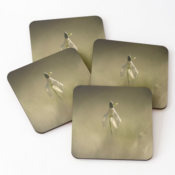 Item preview, Digital photography of an isolated sunlit Snowdrop designed and sold by SimonJohnson1.