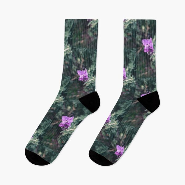 Item preview, Lavenders designed and sold by Boreal11 .