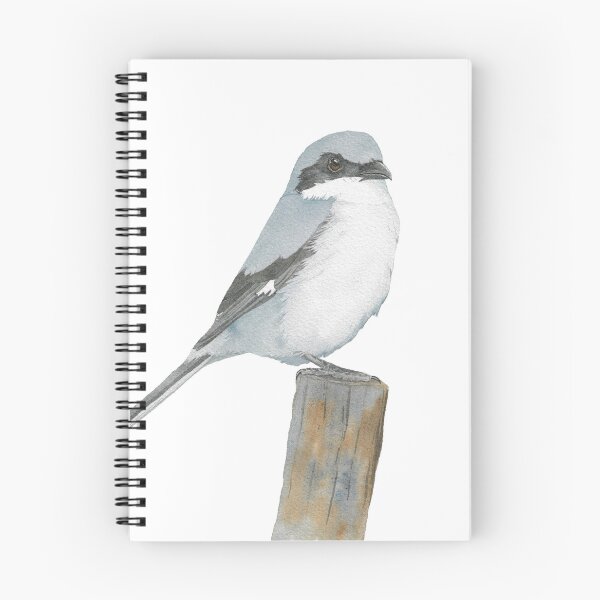 Item preview, loggerhead shrike bird watercolor portrait designed and sold by L'Atelier Oranjade.