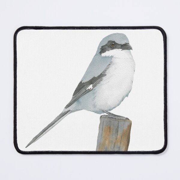 Item preview, loggerhead shrike bird watercolor portrait designed and sold by L'Atelier Oranjade.