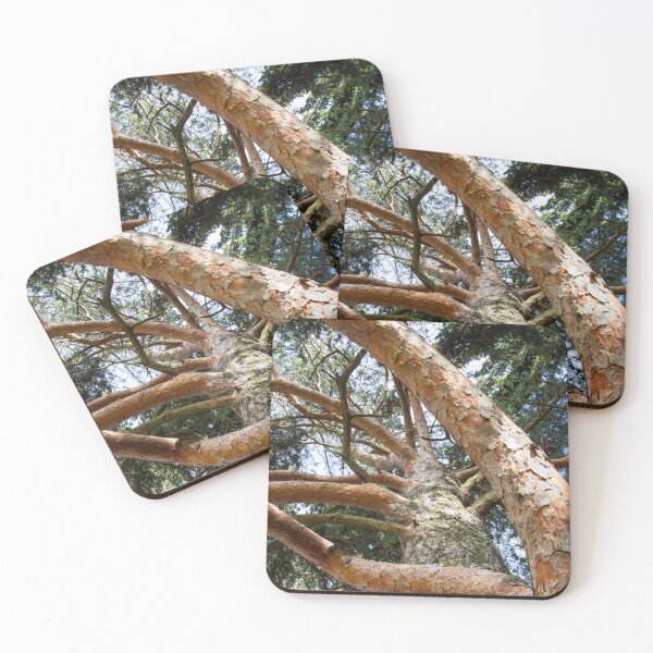 Item preview, Trees designed and sold by Aleksandr Rublevskii.