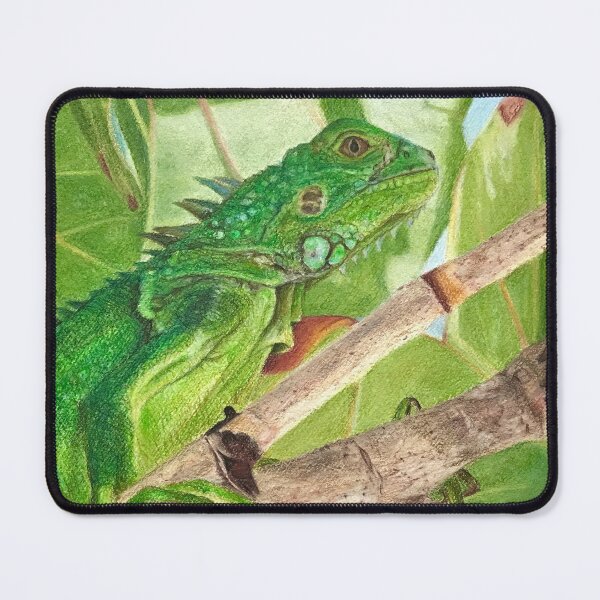 Item preview, Exotic green iguana | exotic pet designed and sold by NathBros.