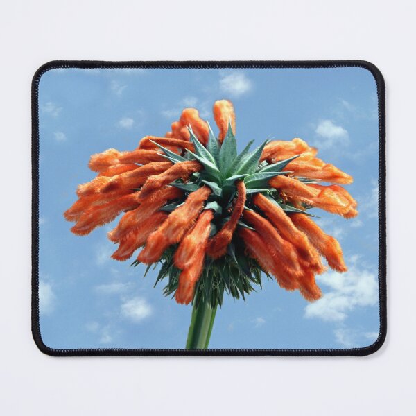 Item preview, Orange Beauty in the Sky designed and sold by heatherfriedman.