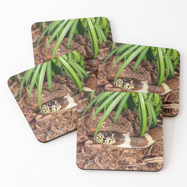 Item preview, The King Has Arrived! designed and sold by heatherfriedman.