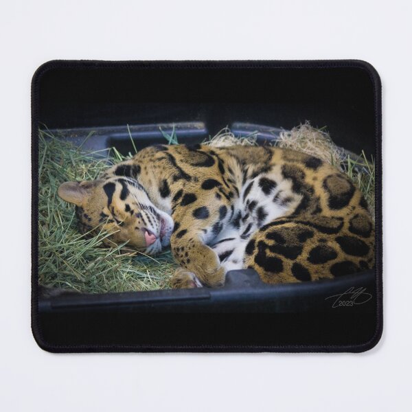 Item preview, Clouded Leopard Nap Time designed and sold by Diamondback Designs.