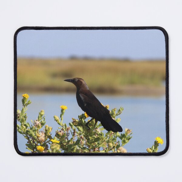 Item preview, Grackle On Flowers designed and sold by thatpersonsoph.