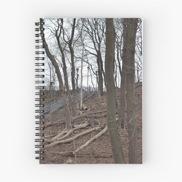 Item preview, Trees & Stairs Hamilton Mountain designed and sold by SRosuphotos.