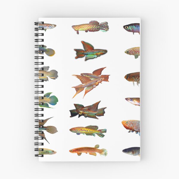 Item preview, Multiple Killifish Pattern - rachovii, bitaeniatum, and more designed and sold by killies.